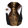 Hi-Tie Silk Paisley Ties for Men Necktie Pocket Square Cufflinks
