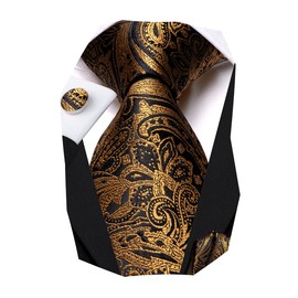 Hi-Tie Silk Paisley Ties for Men Necktie Pocket Square Cufflinks Set Foral Tie Sets Formal Business,Gold Paisley