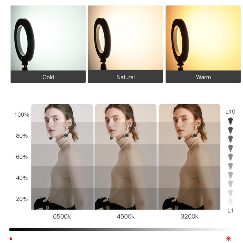 10in USB Desktop Ring Light with 3 Color Modes/10 Brightness
