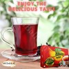 Isis Natural Egyptian Hibiscus Dried Herbal Pure Tea Bag Premium