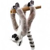 Carl Dick Katta, Lemur with Velcro on hand and foot