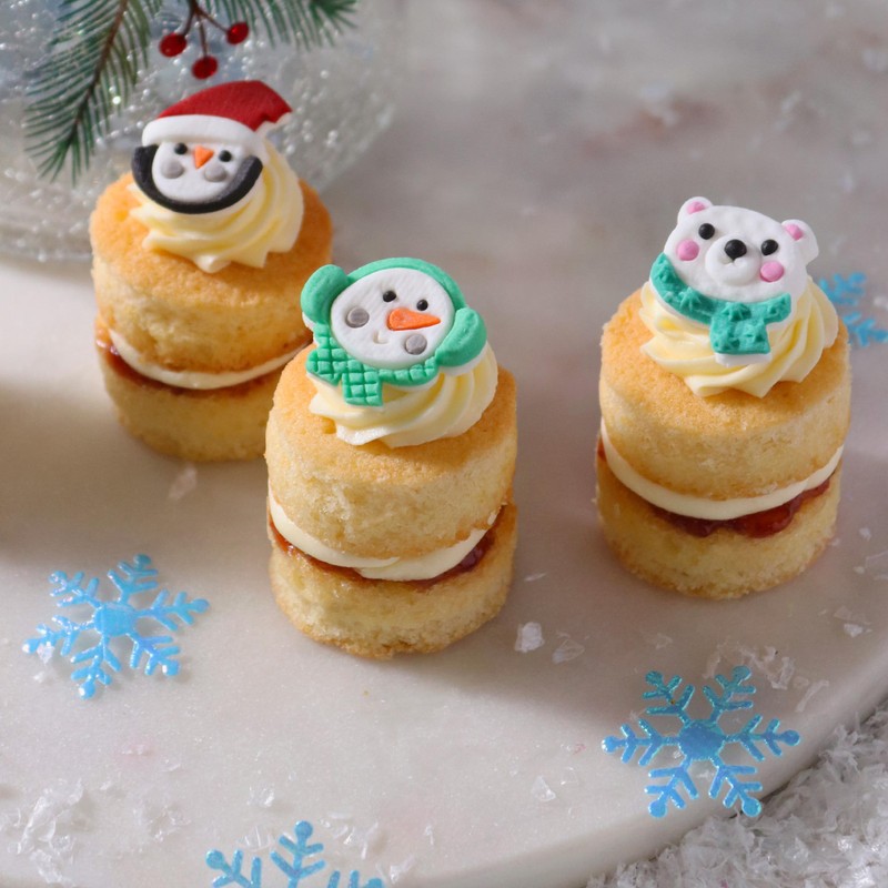 PME Christmas Edible Sugar Decorations - North Pole Express (Pack