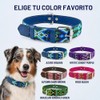 Collar de perro de piel, diseo bordado, collar de perro