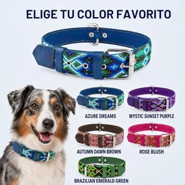 Collar de perro de piel, diseo bordado, collar de perro azul y rosa, collar de perro para perros medianos, collar de perro para perros grandes, lindo 