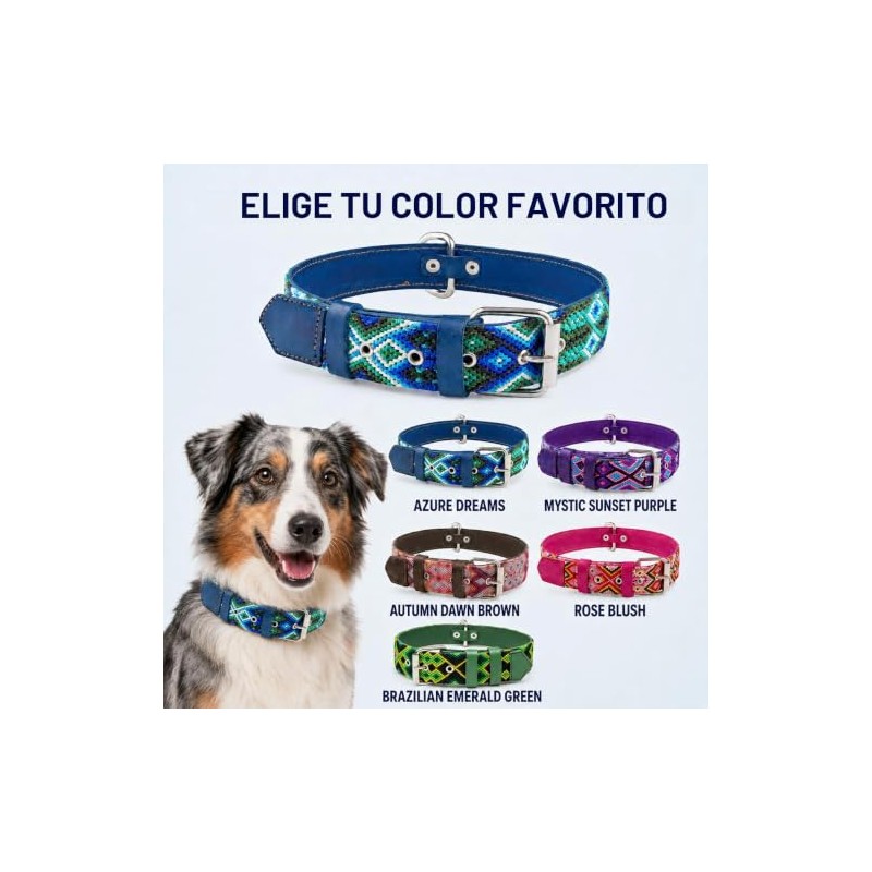 Collar de perro de piel, diseo bordado, collar de perro