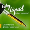 Stinging Nettle Leaf Tincture Drops - Fresh Plant Extract organically