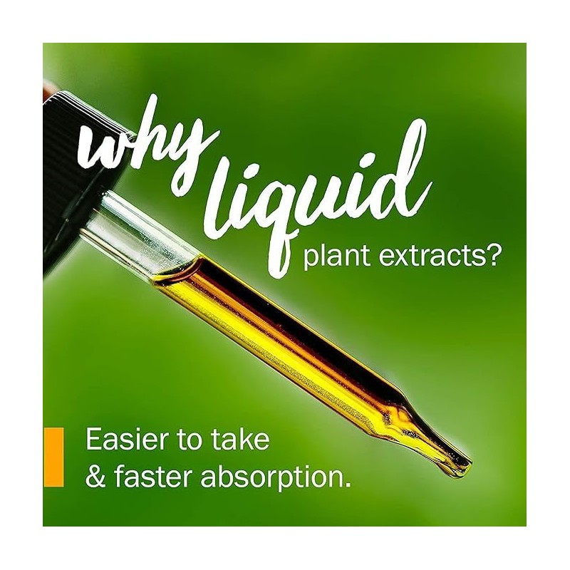 Stinging Nettle Leaf Tincture Drops - Fresh Plant Extract organically