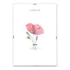 weSTOCK MDF Picture Frame with CRILEX Glass Made in Italy