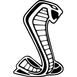 Oracal Winddow Vinyl Decal Sticker for Shelby Mustang GT350 GT500 ford gt White 22”