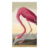 Caspari Audubon Birds Paper Guest Towel Napkins, Two Packs of
