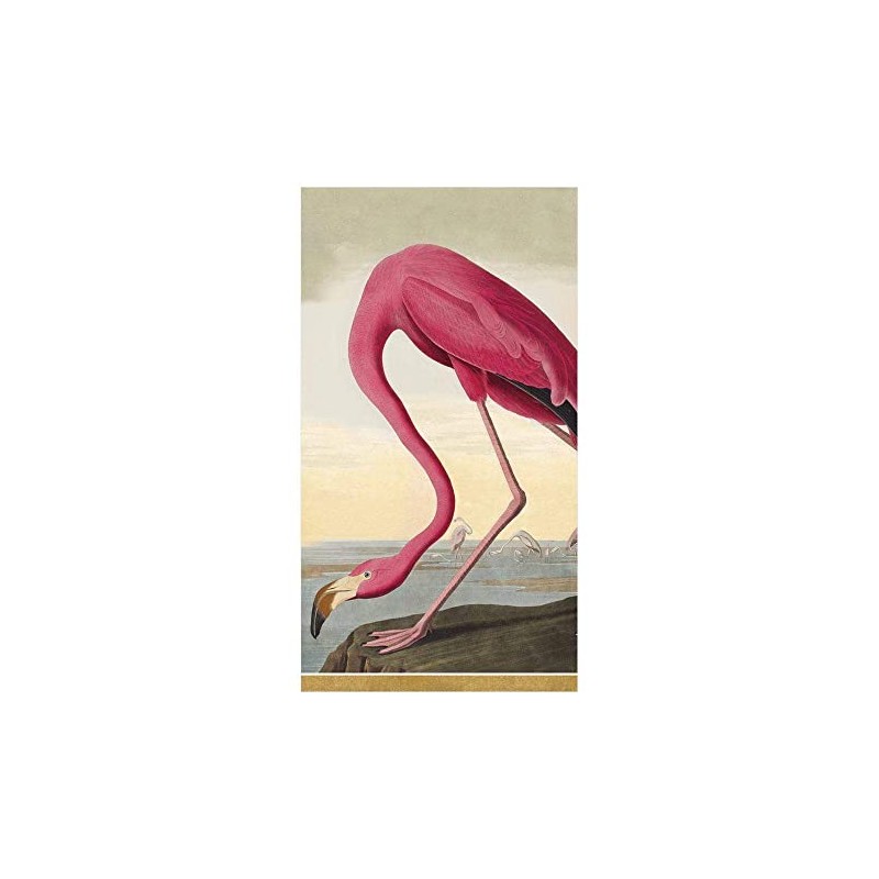 Caspari Audubon Birds Paper Guest Towel Napkins, Two Packs of