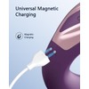 Bicmice USB Magnetic Charger USB DC Charger Cable 2.6ft/80cm Electric