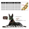 Stainless Steel & 18K Gold Dog Chain Collar - Adjustable,