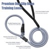 Strong Slip Rope Dog Training Leash (4ft) - Heavy Duty