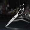 AOLANDUO VG10 Steel Pro Barber and Stylist Hair Cutting Scissors,