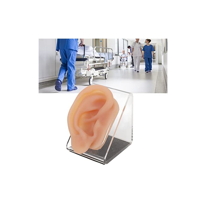 Modelo de Oreja de Silicona, para Práctica de Acupuntura y