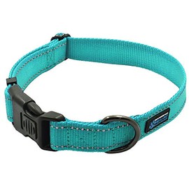 Max and Neo NEO Nylon Buckle Reflective Dog Collar - We Donate a Collar to a Dog Rescue for Every Collar Sold (Large, Teal)