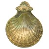 Baptismal Shell Brass