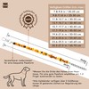 Amberta Amber Collar for Dogs and Cats | Amber Necklace