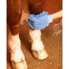 Premier Equine Microfibre Grooming Mitt 6058, peacock, 'One Size'