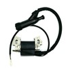 Ignition Coil Module Compatible with Champion Power Equipment 100251 Log