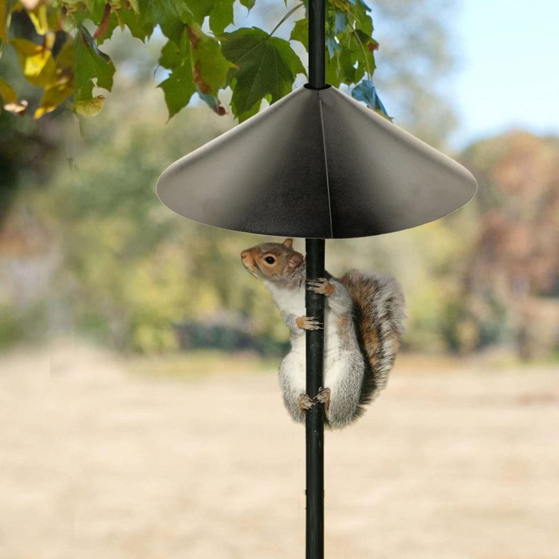 Squirrel Baffle for Bird Feeder Pole, Squirrel Proof Bird Feeder,