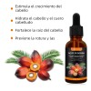 Aceite Sedoso Cuidado Cabello Bifurcado Encrespado 30ml*2
