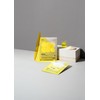 Bio Fermentation Micro-Current Mask