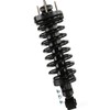 AUTO DN Front Suspension Strut and Coil Spring Assembly for