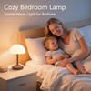 Dawnwake Table Lamp Cordless Lamp,Rechargeble Battery Operated Lamp