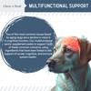 Chew + Heal Labs Senior Dog Vision and Cognition Chews