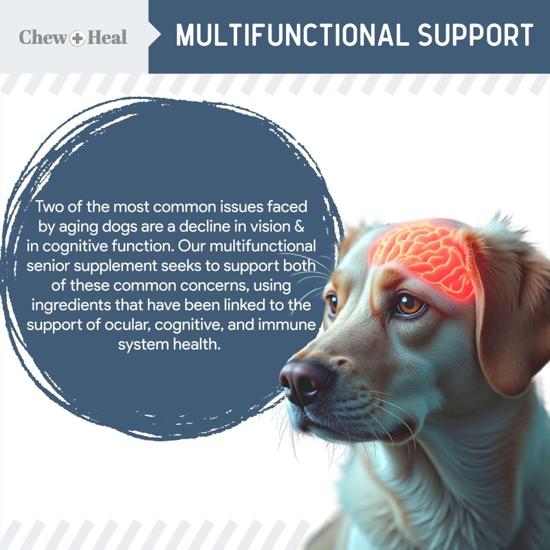 Chew + Heal Labs Senior Dog Vision and Cognition Chews