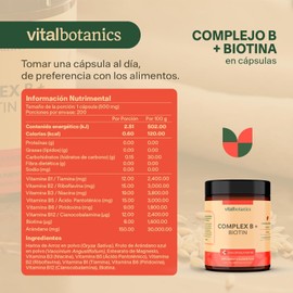 Complejo B con Vitaminas B1 B2 B3 B5 B6 B12 Biotina Niacina y Arándano - 200 Cápsulas de 500mg - Más de 6 Meses - Suplemento Multivitamínico Libre de Gluten y Aditivos - VitalBotanics