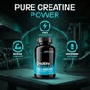 GN Creatine Capsules | 480 Creatine Monohydrate Capsules for Men