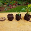 Plant Starter Pellets 36mm x 20 Made With Coco Coir