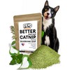 Fiend Catnip + Silvervine for Cats & Kittens Enhanced with