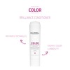 Goldwell Dualsenses Color Brilliance Conditioner 300ml