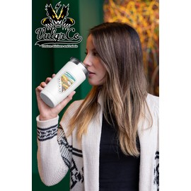 VulgrCo US State Nevada Cartoon Desert Las Vegas Funny Sticker Vinyl Waterproof UV Resistant Decal for Phones Laptops Water Bottles Tumblers Boats Cars Trucks Windows Kayak 3" inch Bumper Stickers