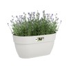 elho Vibia Campana Easy Hanger M 36 - Planter for