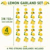 Lemon Party Garland Banner - Tropical Bird Decoration ﻿