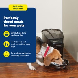 PetSafe Automatic Cat Feeder - Healthy Pet Simply Feed - Automatic Pet Feeder for Cats & Dogs - Timed Pet Feeder with Programmable Portion Control - Holds 24 Cups of Dry or Semi-Moist Dog or Cat Food