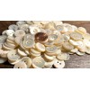 Unbranded 6 Fabulous Iridescent Cream Trocas Shell MOP Buttons 15mm