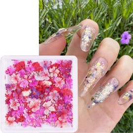 3D Dried Flowers for Nails, Spring Flower Nail Art Stickers 1Box Dried Flowers for Resin Crafts Colorful Small Natural Floral Dried Flower Decals for Summer Acrylic Nails Design Manicure Accessories