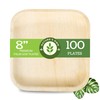 Palm Leaf Plates Like Bamboo Plates Pack - 100 Pc