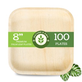 Palm Leaf Plates Like Bamboo Plates Pack - 100 Pc | Disposable Square Plate | Compostable, Eco-Friendly and Biodegradable for Wedding or Events or Party Plates (8 Inch mini Meal Plates)