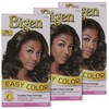 2N Bigen Easy Color for Women Deep Espresso-New Formula, New