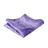 Alizeal Mens 2pcs Gradient Color Classic Paisley Self-tied Bow Tie