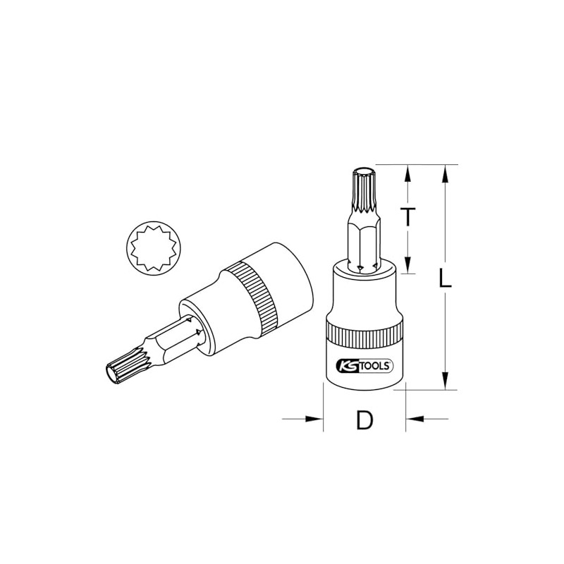 1/2 Inch Bit Socket XZN, M18, 55 mm