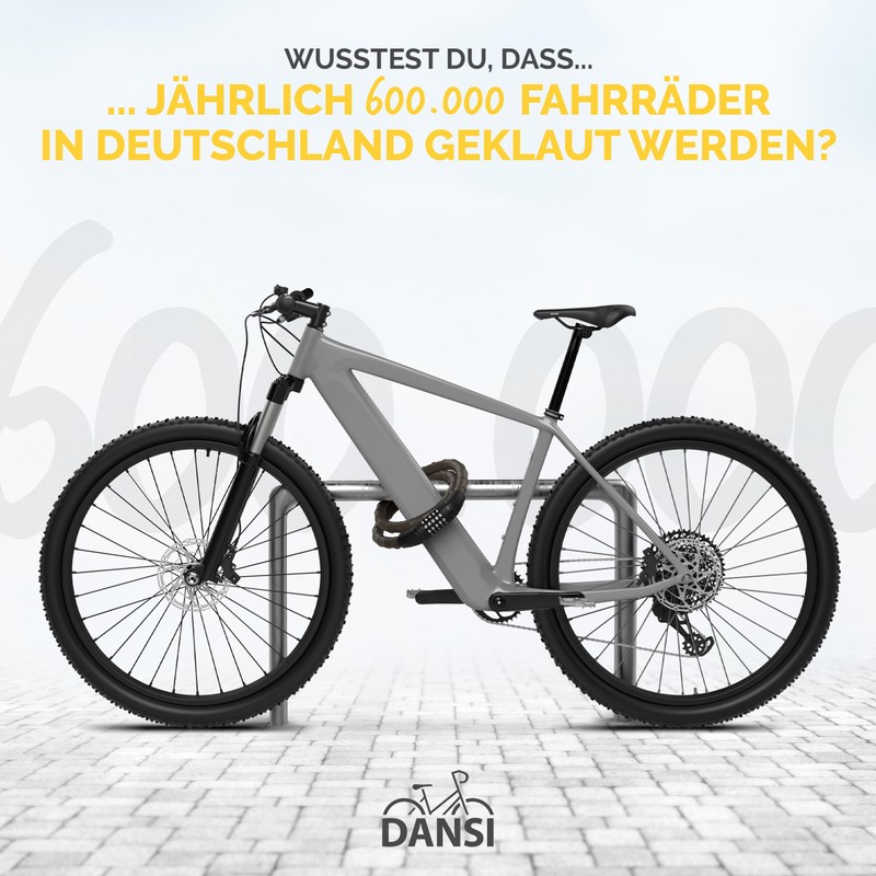 DANSI Armoured Bicycle Lock I Secure Theft Protection with 2