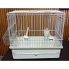 I064B All White Song Bird CAGE